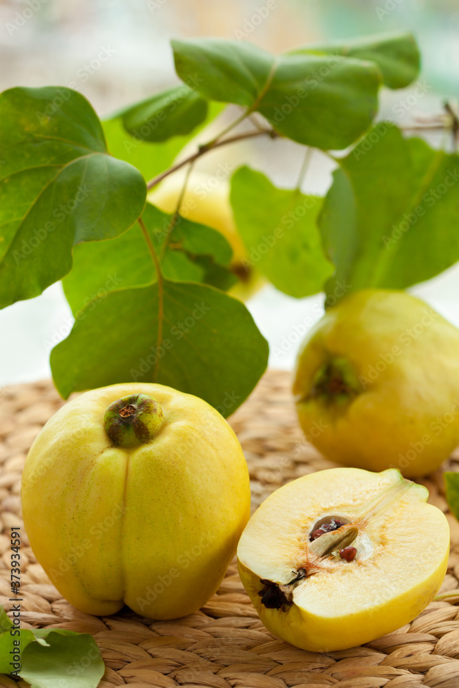 Poster Still life with quinces