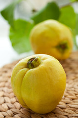 Still life with quinces