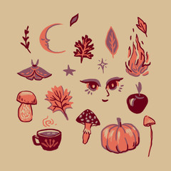 set of cute autumn illustrations in warm orange colors