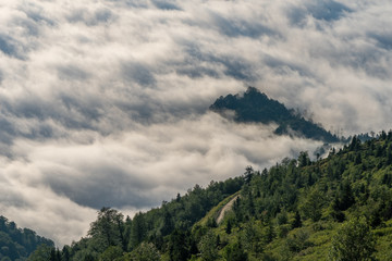 Beautiful Protected area of Kintrishi and Resort Gomismta. Georgia