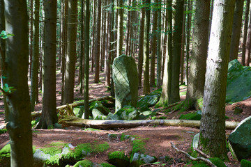 Ancient menhir hidden in the woods of Javornik mounth, Czech Republic
