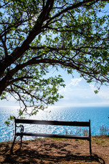 Fototapeta na wymiar a bench under the tree on the coast, Freedom Calm Concept, Vertical