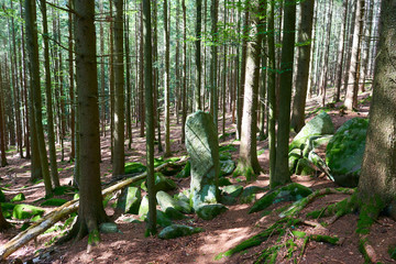 Ancient menhir hidden in the woods of Javornik mounth, Czech Republic
