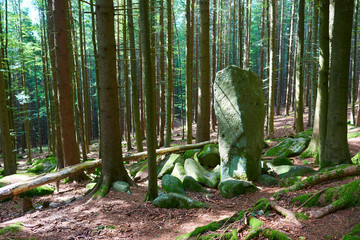 Ancient menhir hidden in the woods of Javornik mounth, Czech Republic
