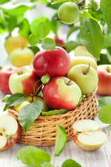 fresh apples
