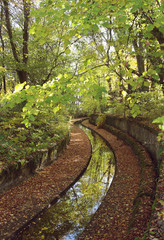 Automne sur Vittel Vosges 
