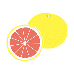 グレープフルーツの手描きイラストアイコン grapefruit flat illustration vector icon