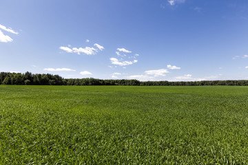 an agricultural field