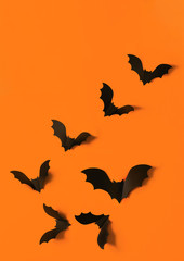 Cartoon halloween background black bats on orange backdrop. Bright holiday backdrop for your design. Dark and moody background. Place for text.