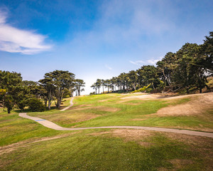 golf landscape with trees and blue sky