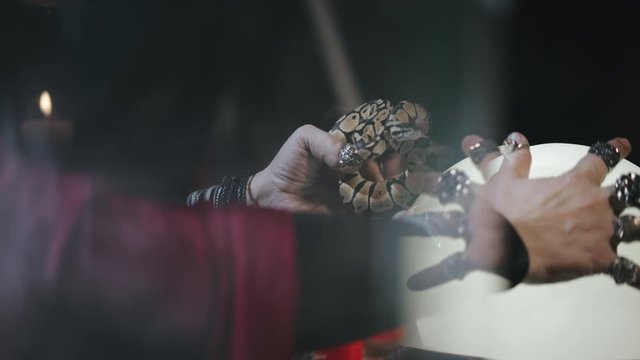 Seer using serpent and magical ball foreseeing future