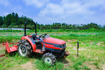 田舎の野菜農園【夏イメージ】