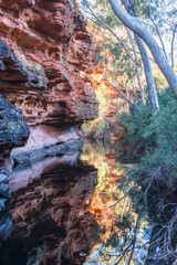 A Stairway to Heaven leading to the Garden of Eden in Kings Canyon, NT