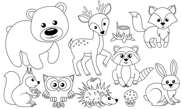 860 Collections Coloring Pages Woodland Animals  Free
