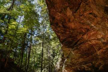 Ash Cave at Hocking Hills State Park in Ohio. Unique split view of woods and cave wall.