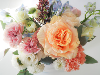 delicate flowers in the rays of sunlight