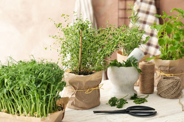 Different herbs on white wooden table against brown background