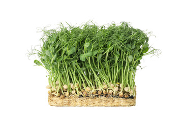 Green peas sprouts isolated on white background