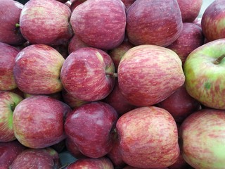 Indian Apple stock photos. This photos taken in india by vishal singh