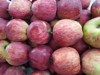 Indian Apple stock photos. This photos taken in india by vishal singh