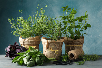 Different herbs on gray wooden table against blue background