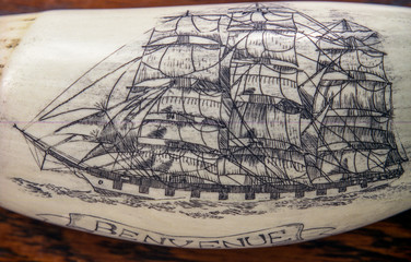 sculpteur de scrimshaw australie