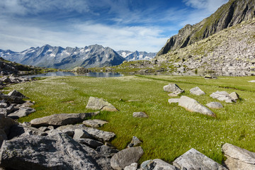 Fototapeta na wymiar Bergsee mit Wollgrasfeld und Gebirge im Hintergrund im Zillertal in Tirol