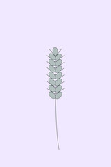 Ear of wheat. Autumn harvest. Harvesting. Vector