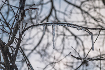 End of winter, beginning of spring. Snow and ice are melting. Thaw. Icicles the Park.