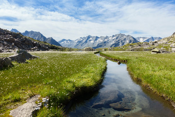 Naklejka na ściany i meble Bergsee mit Wollgrasfeld und Gebirge im Hintergrund im Zillertal in Tirol
