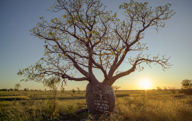 paysages de centre de l'australie dans les années 1980 © antoine-photographe