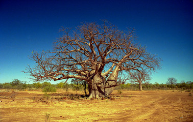 paysages de centre de l'australie dans les années 1980