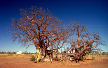 paysages de centre de l'australie dans les années 1980