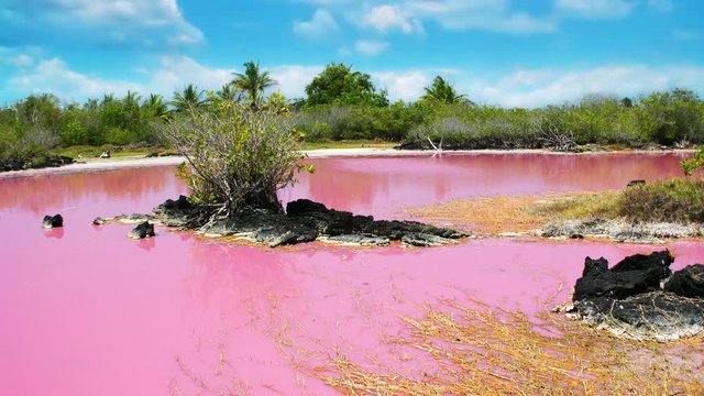 Pink lake in Isabela island, Gal&aacute;pagos island, Ecuador
