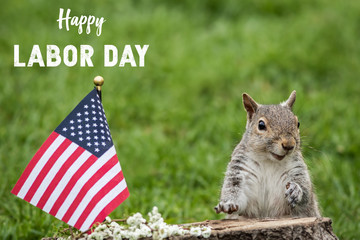 Happy Labor Day text with smiling patriotic Gray Squirrel and American Flag green grass 