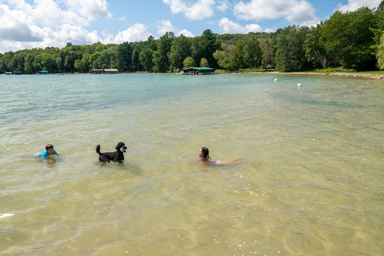 Teenage girl playing fetch with her dog in the water on a summer day