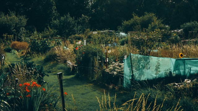urban plot for growing vegetables