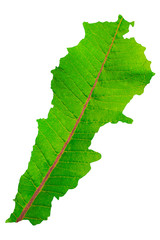 Map of Lebanon in green leaf texture on a white isolated background. Ecology, climate concept, 3d illustration