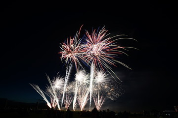 fireworks in the night sky
