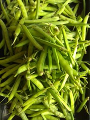 fresh green beans