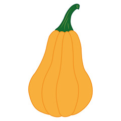 Colorful pumpkin isolated on white background. Flat design style. Vector illustration. Great for holiday or original design, banners, cards, prints, textiles, logo, labels, and more creatives ideas.