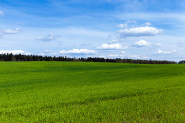 Obraz premium farmer's field , Eastern Europe