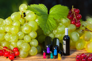 Ripe grapes - an important ingredient in winemaking, Russia