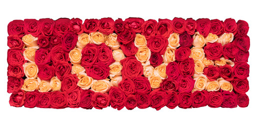 Love composed of 99 red roses