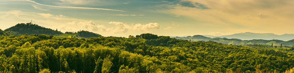 Obraz premium Winery panorama on the South Styrian Wine Road in Austria. Famous Tuscany like spot for wine lovers.