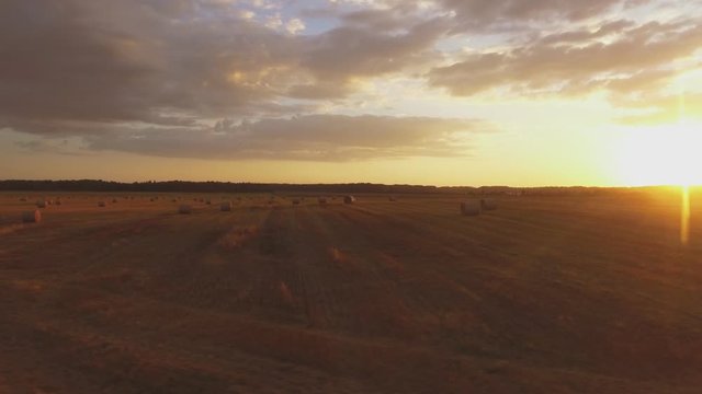 Hay Rolls In Harvested Agricultural Fields On A Sunny Evening At Sunset. Aerial Low Track Left