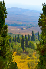 Beautiful landscape in Tuscany near Montepulciano.