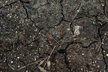 Dry agricultural land, cracked soil, black background