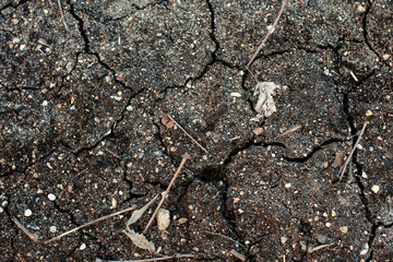 Dry black agricultural land, cracked soil, background