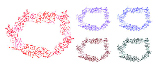 Multicolor Set of horizontal frames with beautiful gladiolus flowers. Plase for lettering in the center. Ink colores outline drawing. Festive floral circle for your design